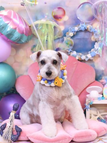 20240810ボルトくん